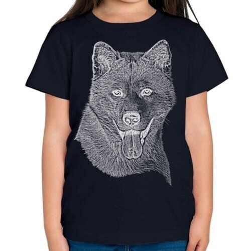 Akita inu schizzo - akita,