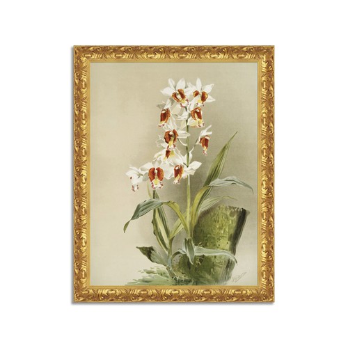 Quadro stampa tela - quadro,