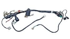 Fascio elettrico Kymco Zing