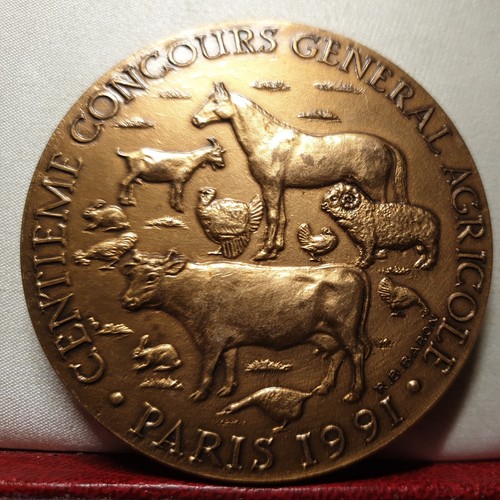 1991 59mm bronzo - 1991, intl