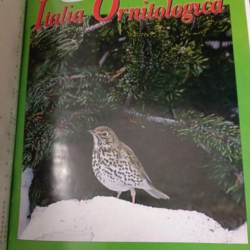 Italia ornitologica anno - , 1994