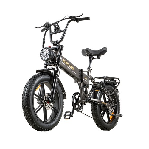 Bicicletta pieghevole city