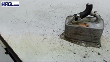Radiatore olio motore - , am