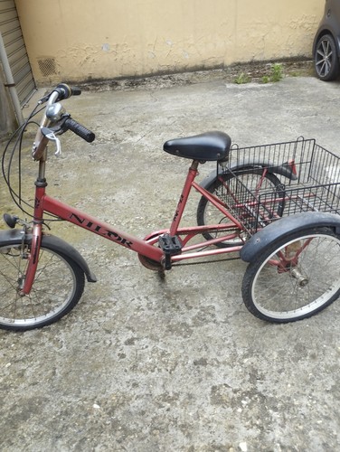 Bicicletta adulti tre ruote