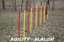 AGILITY - SLALOM - SET VARIE