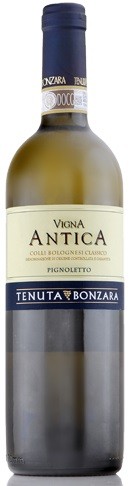 Vigna antica colli - colli, bolognesi
