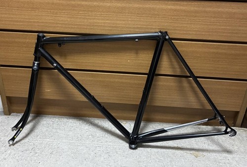 Panasonic custom cromoly road - custom,