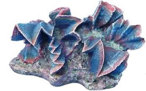 Pocillopora decorazioni resina - pocillopora,
