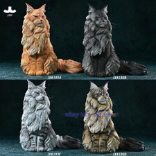 Modellino gatto JXK 1/6 Maine