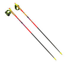 Coppia bastoncini trekking