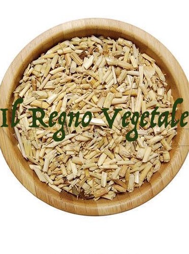 Gramigna rizoma taglio tisana - taglio,