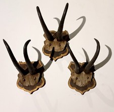 Collezione 3 vecchi trofei