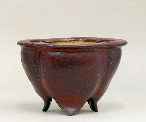 Vaso bonsai firmato