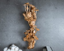 Large Mushroom Wall Art 14”