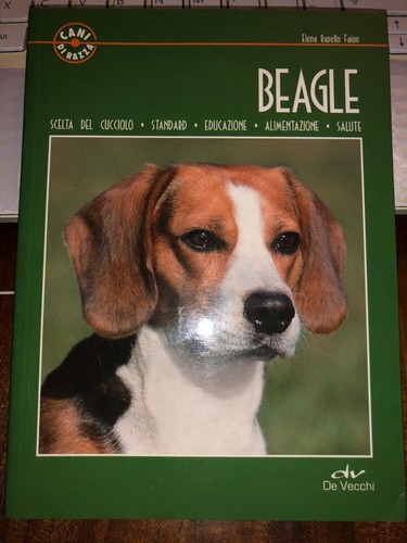 Beagle scelta del - beagle,