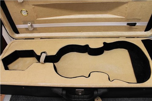 Custodia rigida per violino