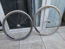 Campagnolo Shamal Pista
