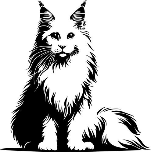 Adesivo maine coon - -,