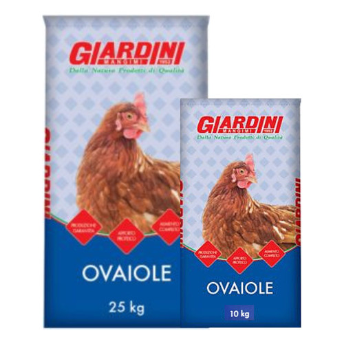 Mangime per gallina ovaiola - mangime,
