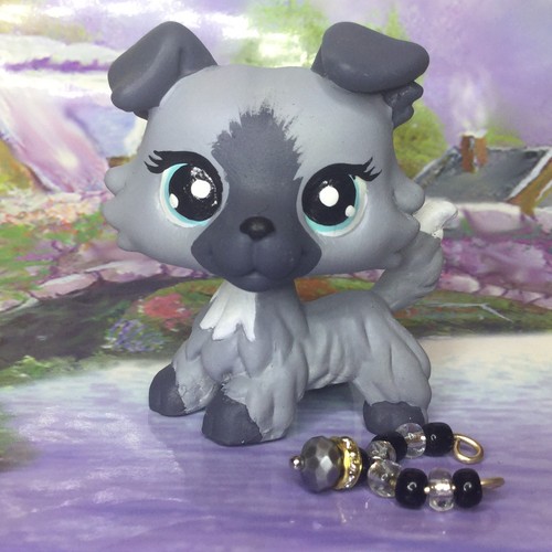 Mini negozio animali - mini, di