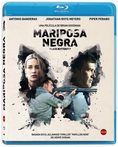 Mariposa negra blu - mariposa,