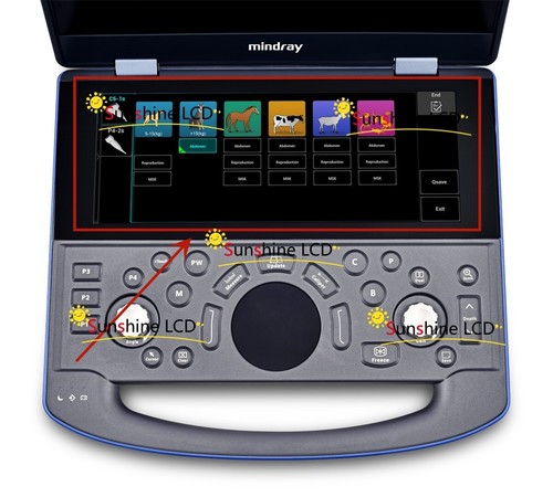Gruppo display lcd - gruppo,