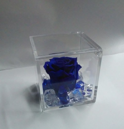 Rosa blu stabilizzata eterna - blu,