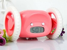 *Zs- SVEGLIA ACCHIAPPAMI