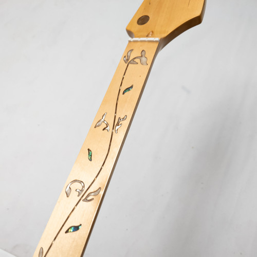 Collo chitarra basso fretless - collo,