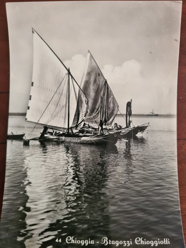 Chioggia bragozzi - chioggia, (venezia)