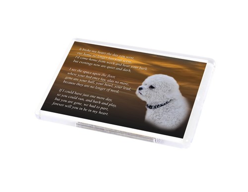 Bichon frise dog fridge magnet - frise,