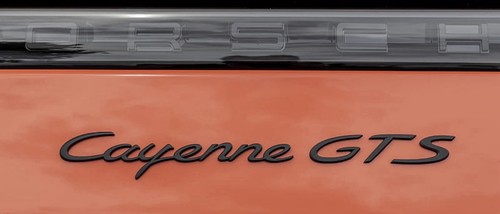 Emblema distintivo originale