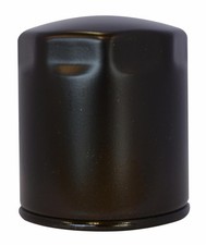 Filtro Olio Motore Ama per