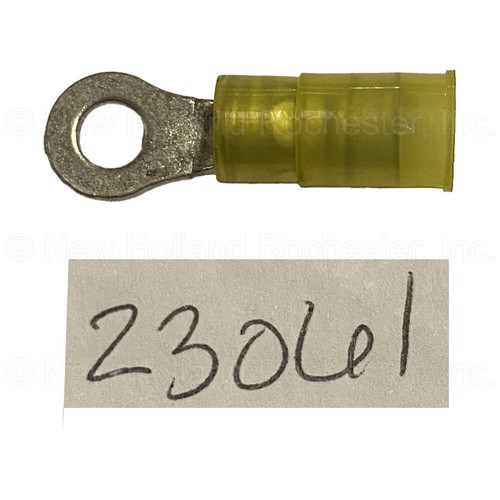 Parte terminale anello - parte,