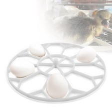 Vassoio Per  Lavabile Con