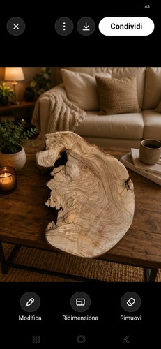 Fetta tronco legno di - di, in