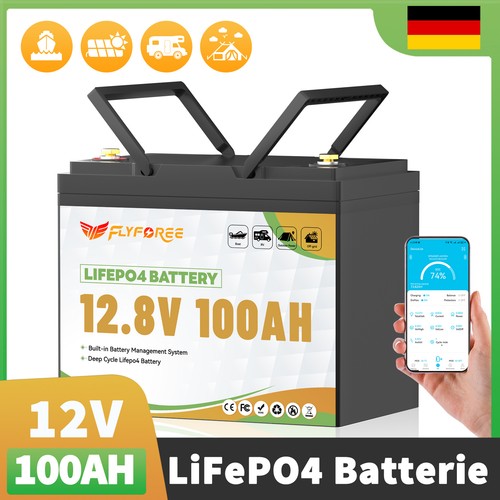 Batteria litio 12v 100ah - litio,