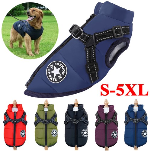 Gilet imbottito per - gilet, cane