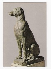 Cartolina CANE DI RARISSIMO "VERDI RANOCCIA" · Palazzo Dei Conservatori · non viaggiata