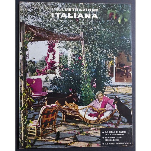 Rivista illustrazione - rivista, l'illustrazione