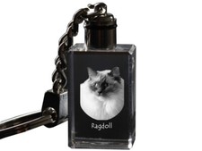 Ragdoll - Orologio Con Gatto