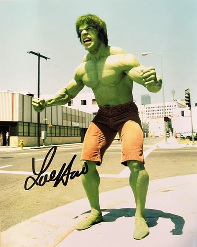Incredibile hulk show lou - hulk,