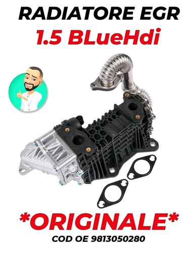 9813050280 radiatore egr - radiatore,
