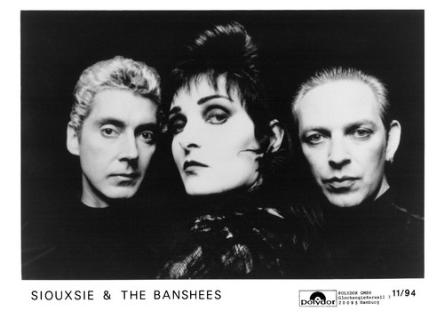 Siouxsie and the banshees - the,