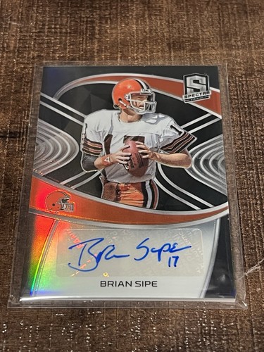 Panini spectra brain sipe - sipe, auto