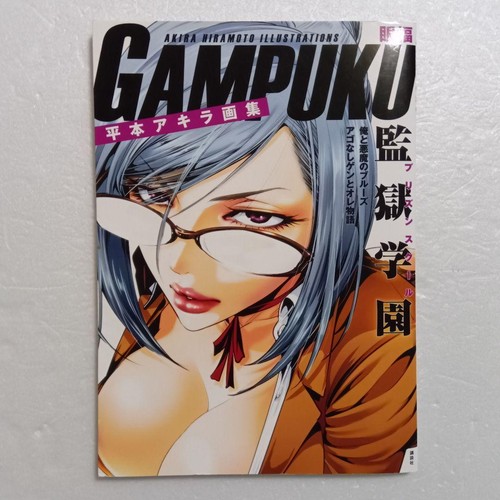Akira hiramoto gampuku libro - hiramoto,