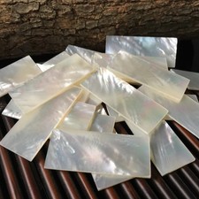 5pz Fette Conchiglia