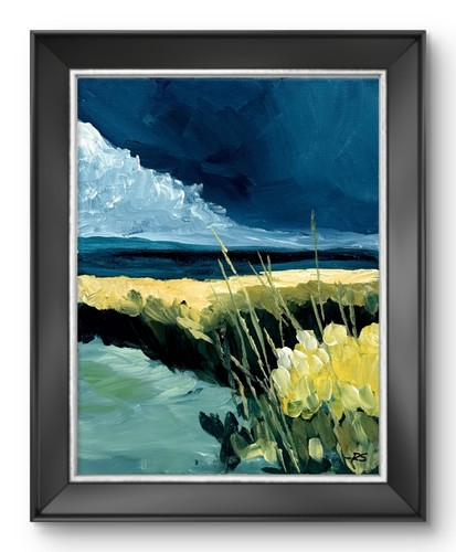 Tempesta palude paesaggio - palude,