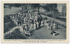 Iva da vino più grande del