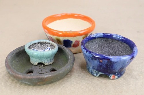 Vaso per bonsai giapponese
